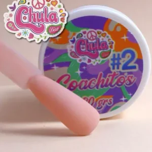 ACRILICO COACHITOS #2