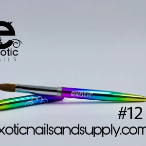 PINCEL 12 RAINBOW